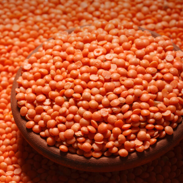 Masoor Dal - Image 2