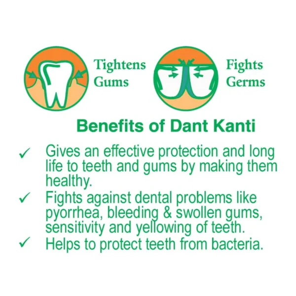 Dant Kanti Natural Toothpast (100g) - Image 3